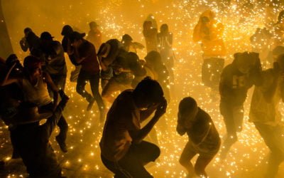 The Bulls Of Fire