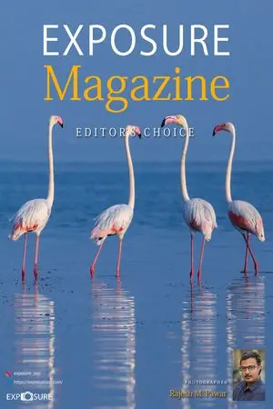 Rajesh M Pawar Cover