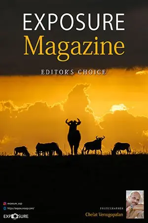 Rajesh M Pawar Cover